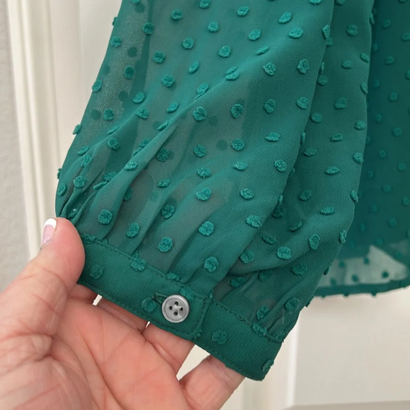 J Crew Kelly Green 2X Swiss dot v neck blouse. Lined in front. EUC - Picture 6 of 10